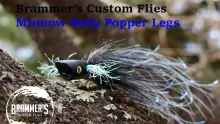 Video thumb for Minnow Body Popper Legs