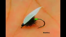 Video thumb for Coachman Variant