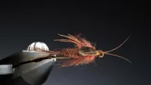 Video thumb for Clinger stonefly nymph