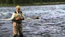 Video thumb for Wet Fly trailer