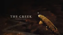 Video thumb for The Creek