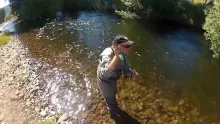 Video thumb for The River (not so) Wild