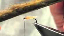 Video thumb for Ovi-Caddis
