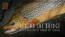 Video thumb for Beyond the Bridge