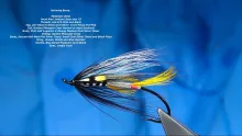 Video thumb for Hairwing Brora