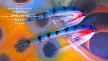 Video thumb for Saltwater Turbo Disc Tube Fly