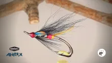 Video thumb for Nighthawk Fox Wing