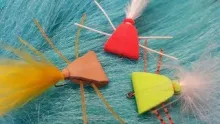 Video thumb for Triangle Bug