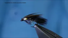 Video thumb for International Ace of Spades