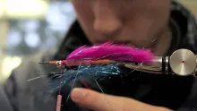 Video thumb for Superfast Random Tube Fly