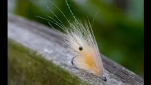 Video thumb for Translucent Shrimp Fly