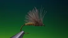 Video thumb for CdC caddis