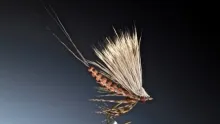 Video thumb for Detached deer hair body mayfly