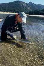 User submitted picture: New Zealand South Island....