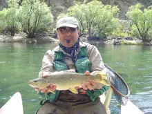 User submitted picture: A brown trout of AluminÃ© ...