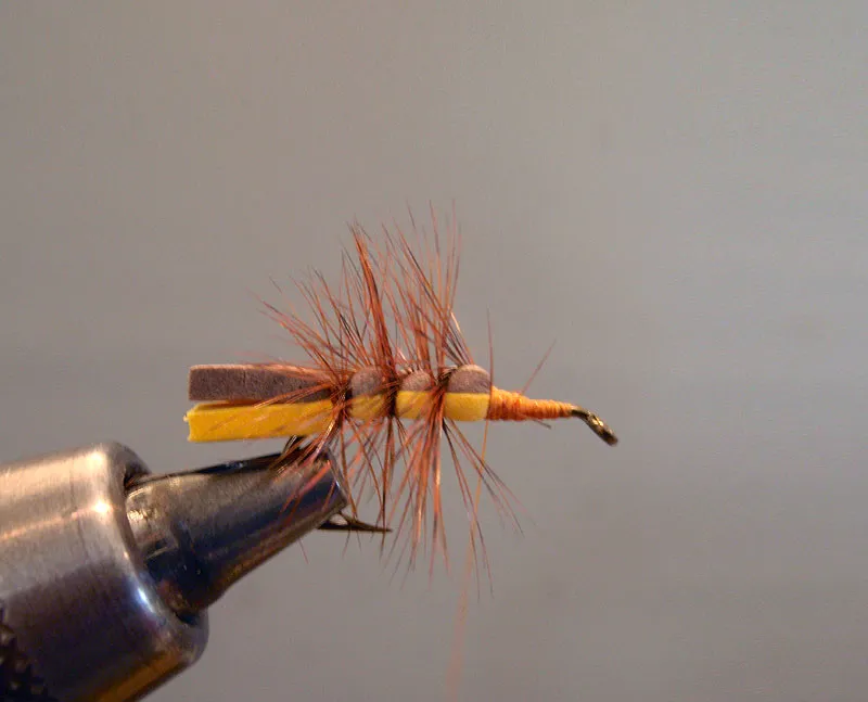 Step 6: Hackle is palmered up the body - Palmer the hackle around the foam body by making two wraps between segments and advancing with one wrap over the top. Don't worry if the hackle twists a little as you are wrapping it because you will be clipping it short anyways. Wrap to the start of the thorax and tie off