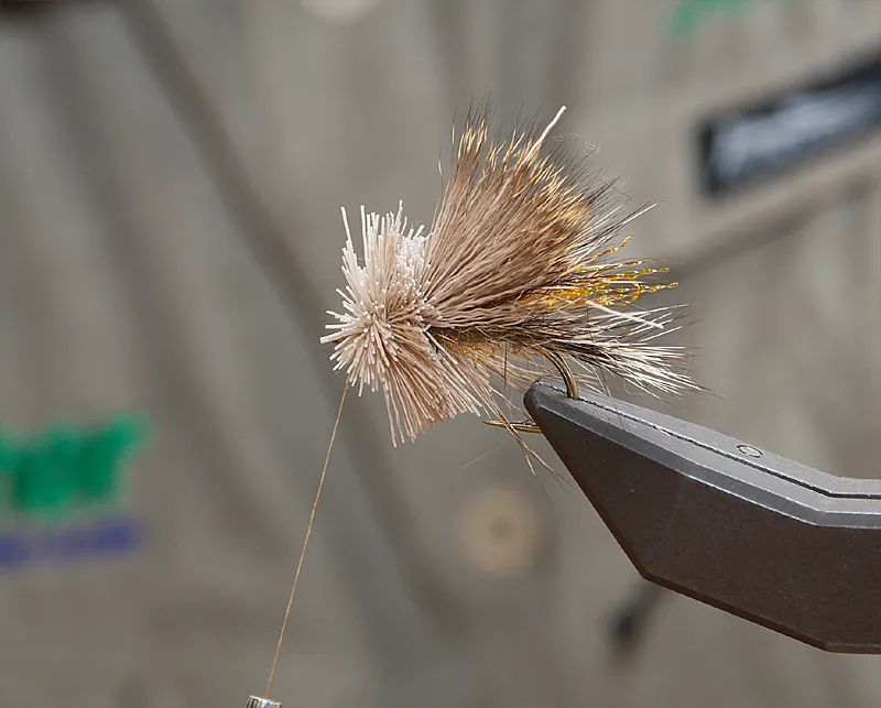 Second bunch - This is the second bunch tied in. This is not nearly as critical as the first one. Trim both ends of a small bunch of hair, hold it to the hook shank, press back hair already on the fly and make three thread turns, tightning on the second and third one. Let go of the hair while doing so, letting it spin around the hook.