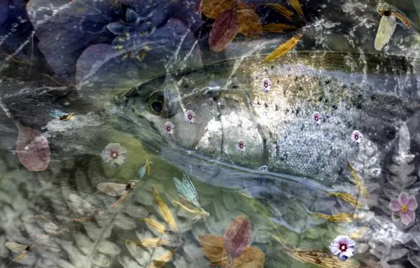 User submitted picture: An image consisted of sev...