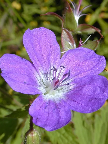 User submitted picture: If you have the eye for i...